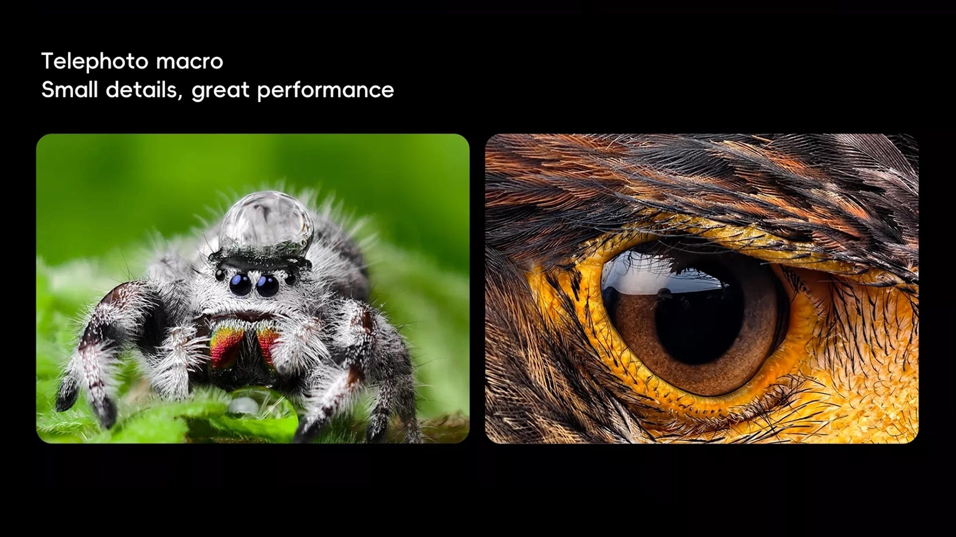 Vivo X100 Ultra Banner 8