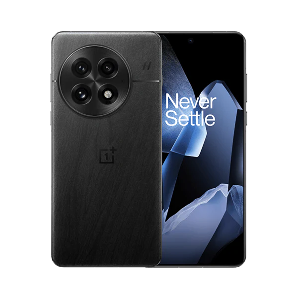 OnePlus 13